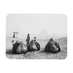 Ímã Cairo Egito, Cavaleiros de Camelo Pirâmides de Giz