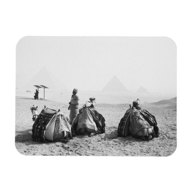 Ímã Cairo Egito, Cavaleiros de Camelo Pirâmides de Giz (Horizontal)