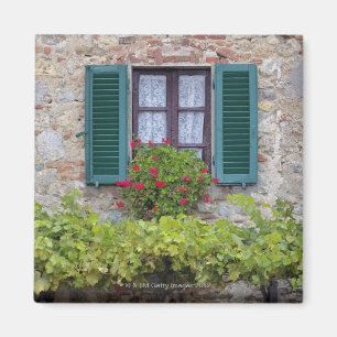 Imã Caixa da flor na janela