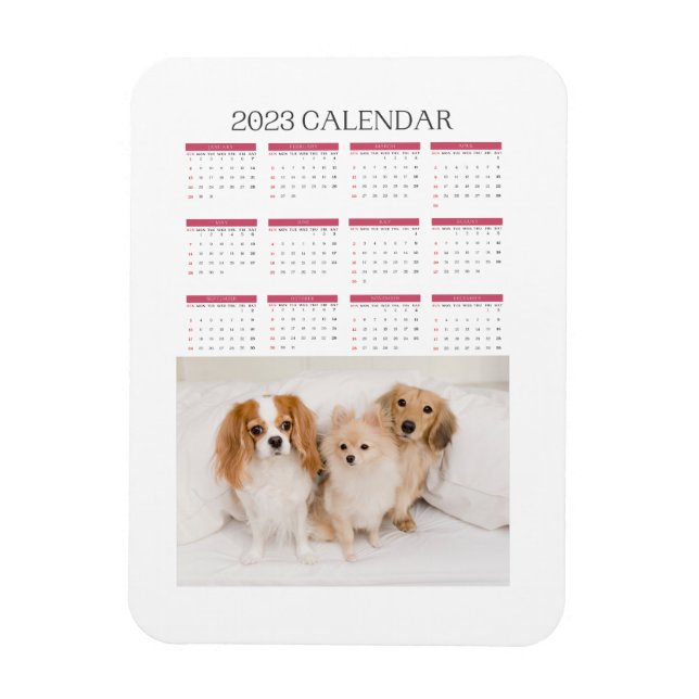 Ímã calendário 2023 mignon chiens (Vertical)