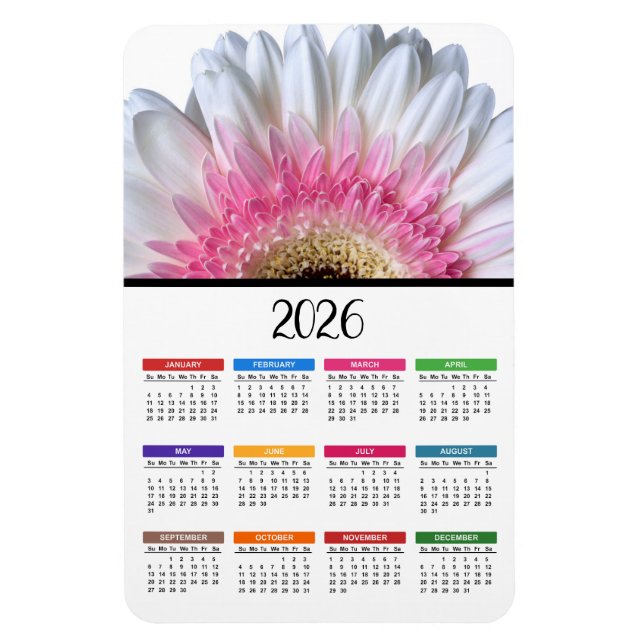 Ímã Calendário da Margarida Gerbera Branca e Rosa 2023 (Vertical)