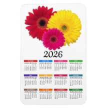 Calendário da Margarida Gerbera Vermelha Cor-de-Ro