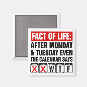 Imã Calendário da Vida Diz Humor WTF