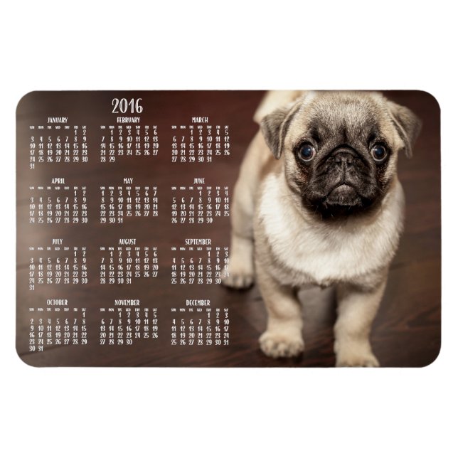 Ímã Calendário de cães 2016 Foto grande Magnet 4x6 (Horizontal)