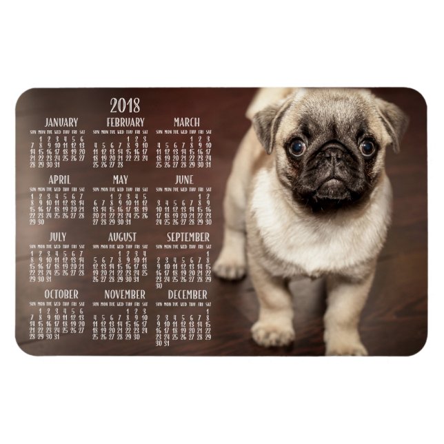 Ímã Calendário de cães 2018 Foto grande Magnet 4x6 (Horizontal)