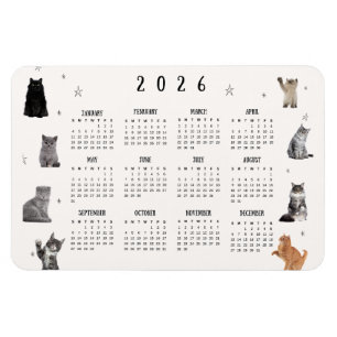 Ímã Calendário de Gato Engraçado 2026
