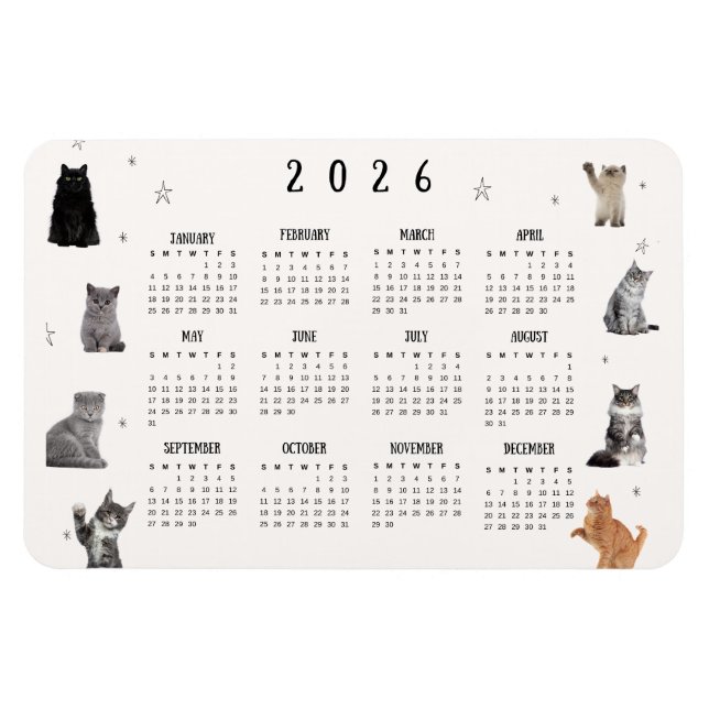 Ímã Calendário de Gato Engraçado 2026 (Horizontal)