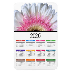 Ímã Calendário de Gerbera Daisy Rosa e Branco de 2023