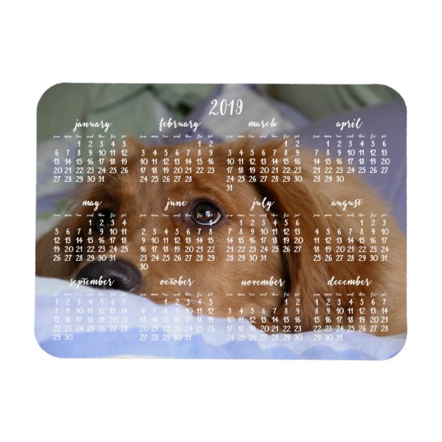 Ímã Calendário De Retriever De ouros 2019 Com O Magnet (Horizontal)