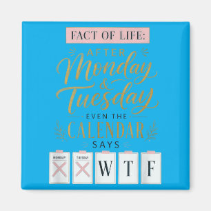 Imã Calendário Fact Of Life Diz Qual Humor Na Terra