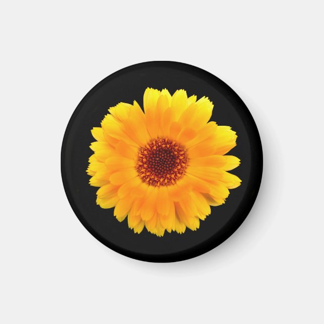 Imã Calendula Officinalis (Frente)