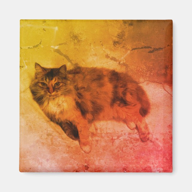 Imã Calico Cat Magnet (Frente)