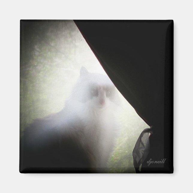 Imã Calico Ghost Cat por djoneill (Frente)