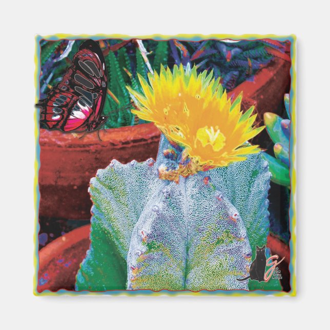 Imã Caliente Cactus Magnet (Frente)