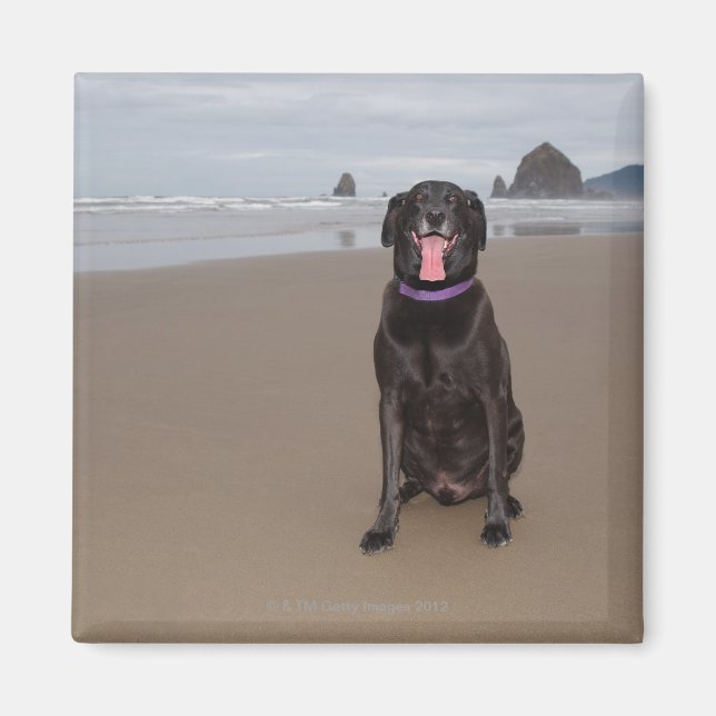 Imã Califórnia, EUA (Frente)