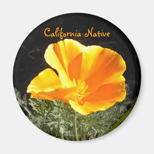 Imã California Native (Frente)
