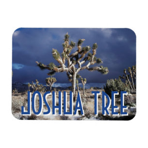 Ímã Califórnia, Parque Nacional Joshua Tree