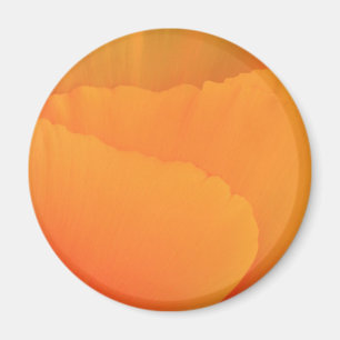 Imã California Poppy