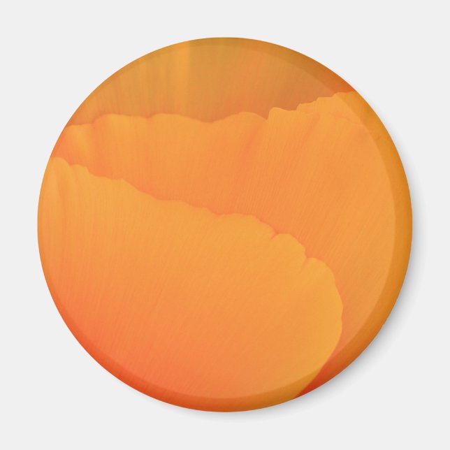 Imã California Poppy (Frente)