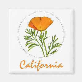Imã California Poppy em um Círculo, Texto "California"