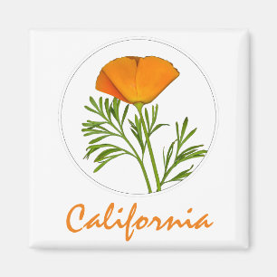 Imã California Poppy em um Círculo, Texto "California"