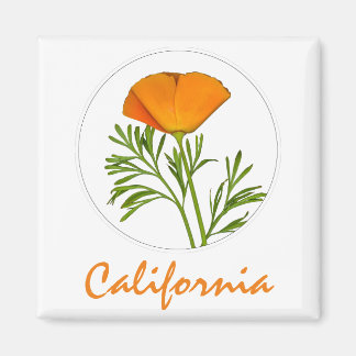 Imã California Poppy em um Círculo, Texto "California"