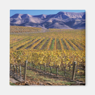 Imã Califórnia, San Luis Obispo County, Edna Valley