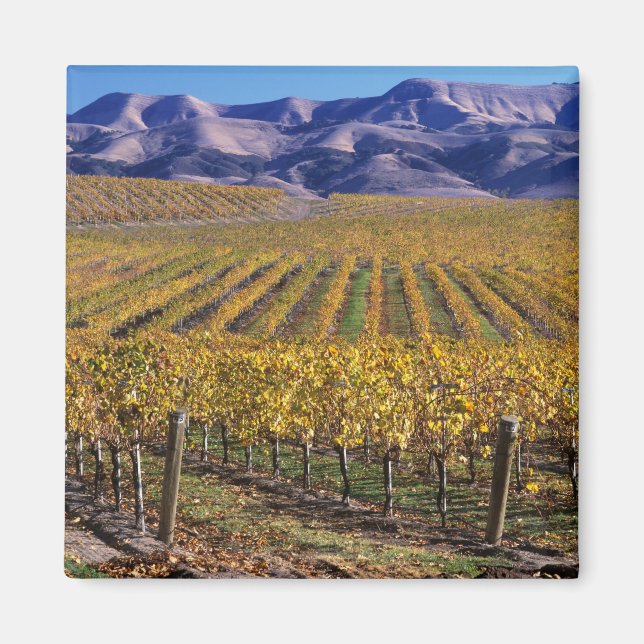 Imã Califórnia, San Luis Obispo County, Vale de Edna (Frente)