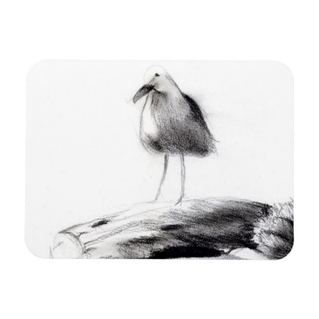 Ímã California Seagull 2012 (Horizontal)