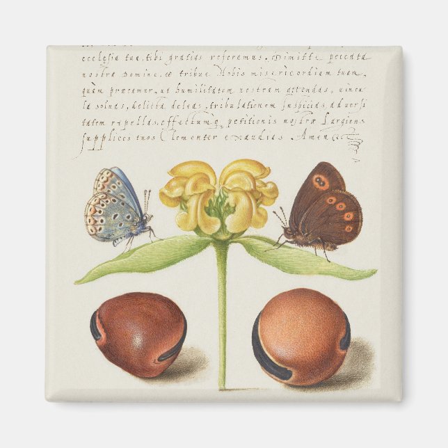 Imã Caligrafia, Jerusalém e feijão (Frente)