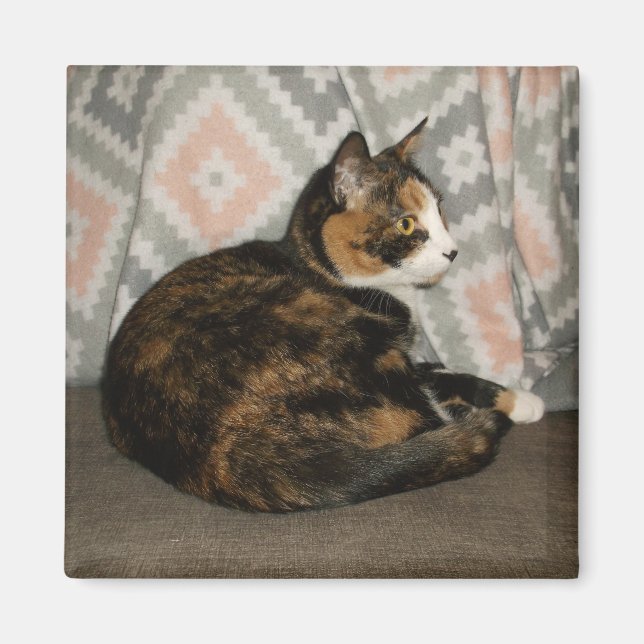 Imã Callie Cat em Sofa (Frente)