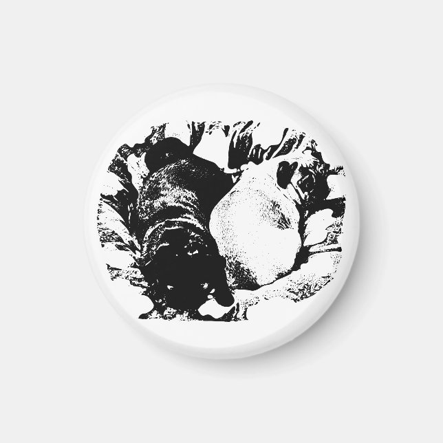 Imã Calm Pugs on the Fridge (Frente)