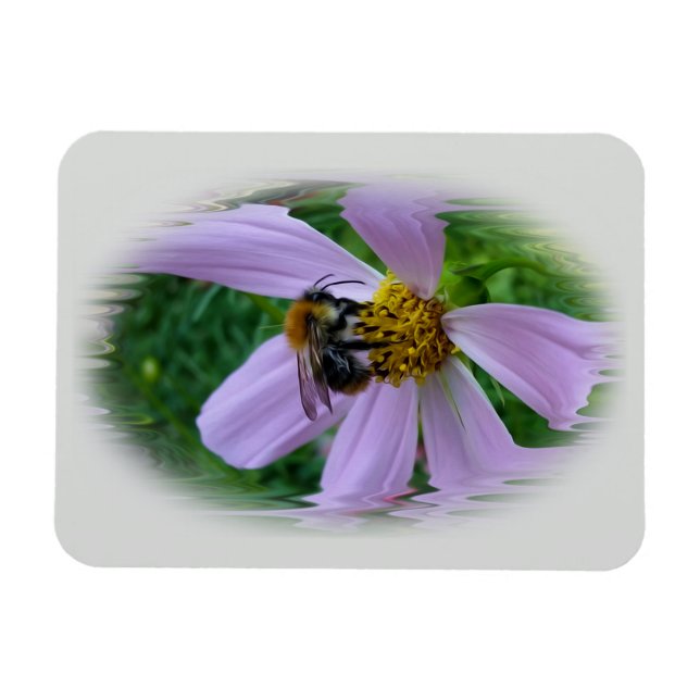 Ímã Calor de Verão (Horizontal)