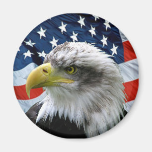 Imã Calvo-Eagle-Americano-Bandeira