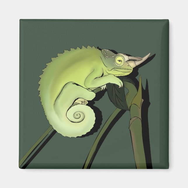 Imã Camaleão de Jackson (Frente)