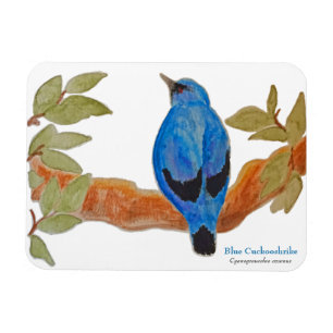 Ímã Camarão-Caco Azul no Pássaro de Aquarela