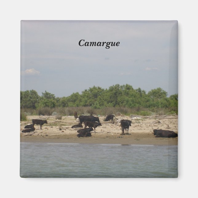 Imã Camargue - (Frente)