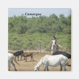 Imã Camargue -