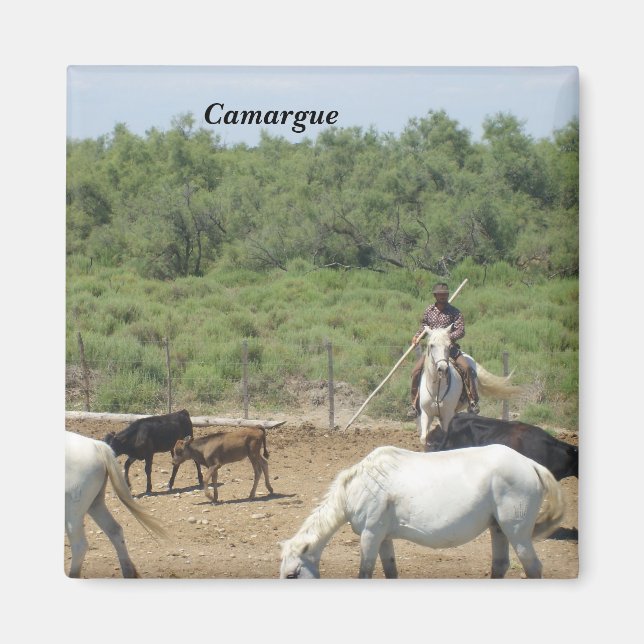 Imã Camargue - (Frente)