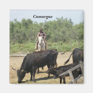 Imã Camargue -