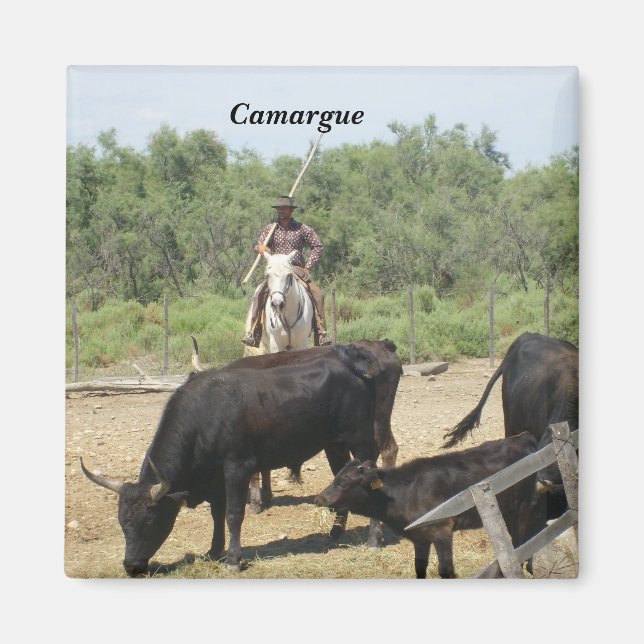 Imã Camargue - (Frente)