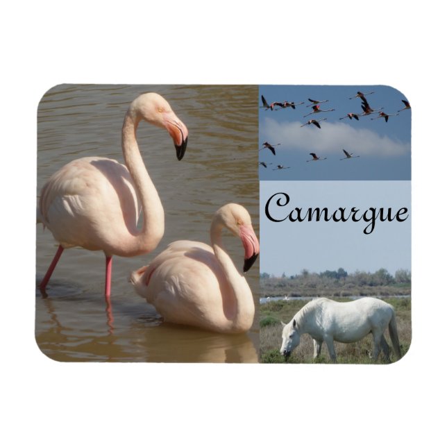 Ímã Camargue Magnet (Horizontal)