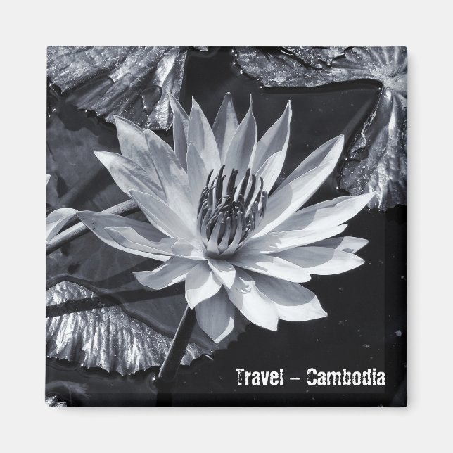 Imã Camboja - Flor de Lotus BW (Imã de geladeira) (Frente)