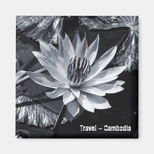 Imã Camboja - Flor Lotus BW (Imã de geladeira)