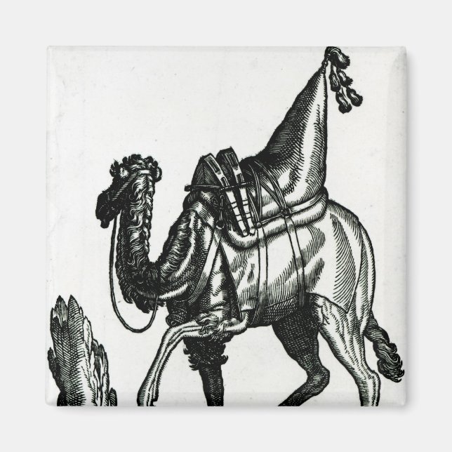 Imã Camel (Frente)