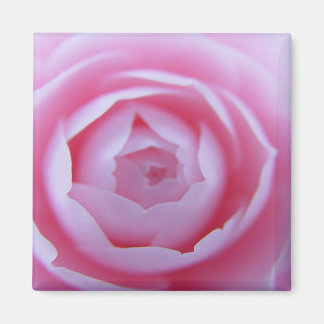 Imã Camellia Closeup Magnet