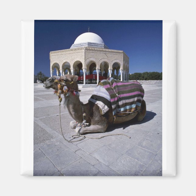 Imã Camelo descansando em frente à cúpula, Monastir, T (Frente)