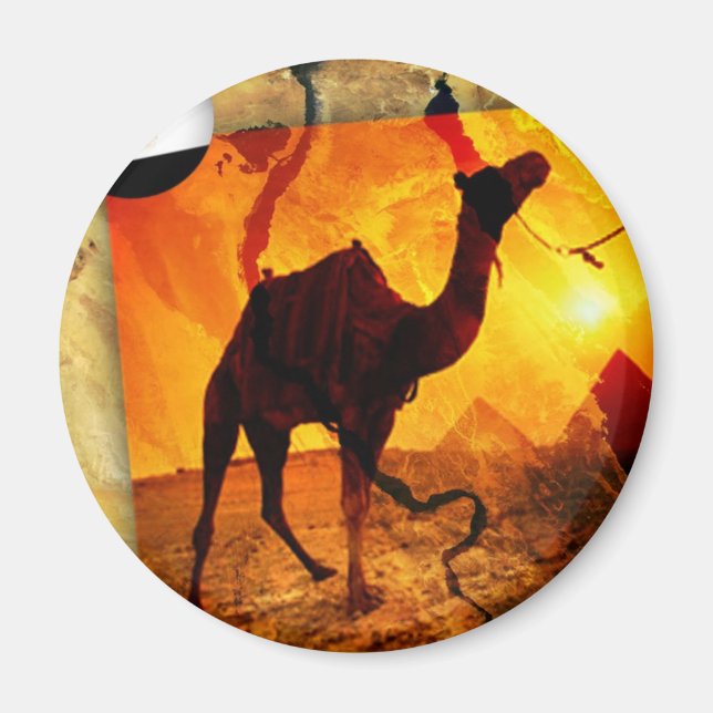 Imã Camelo egípcio (Frente)