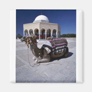 Imã Camelo que descansa na frente da abóbada,