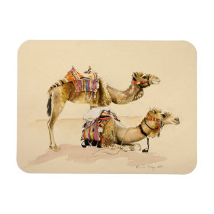 Ímã Camelos de PETRA 2007
